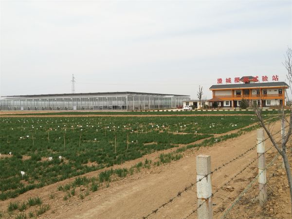 工(gōng)程案例