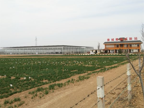 玻璃智能(néng)溫室