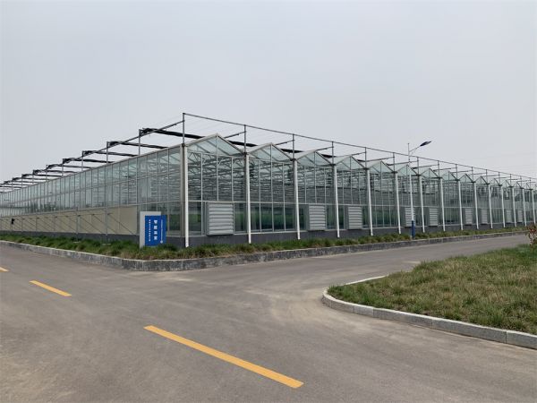 玻璃智能(néng)溫室