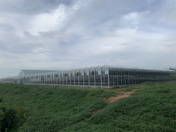 玻璃智能(néng)溫室