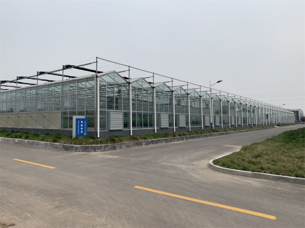 玻璃智能(néng)溫室