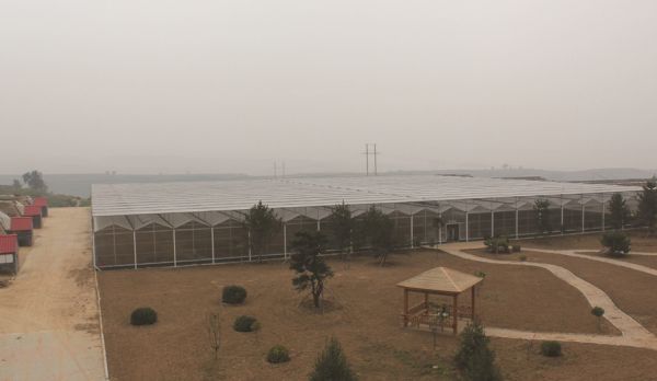 pc陽光(guāng)闆智能(néng)溫室