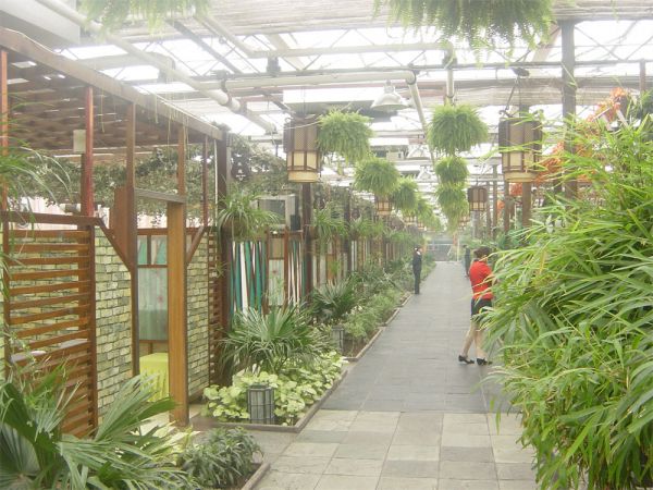 生(shēng)态溫室餐廳